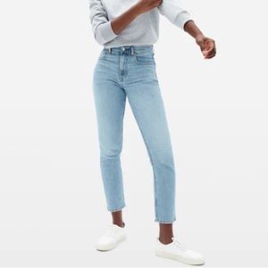 Everlane Japanese Denim Cheeky Jean